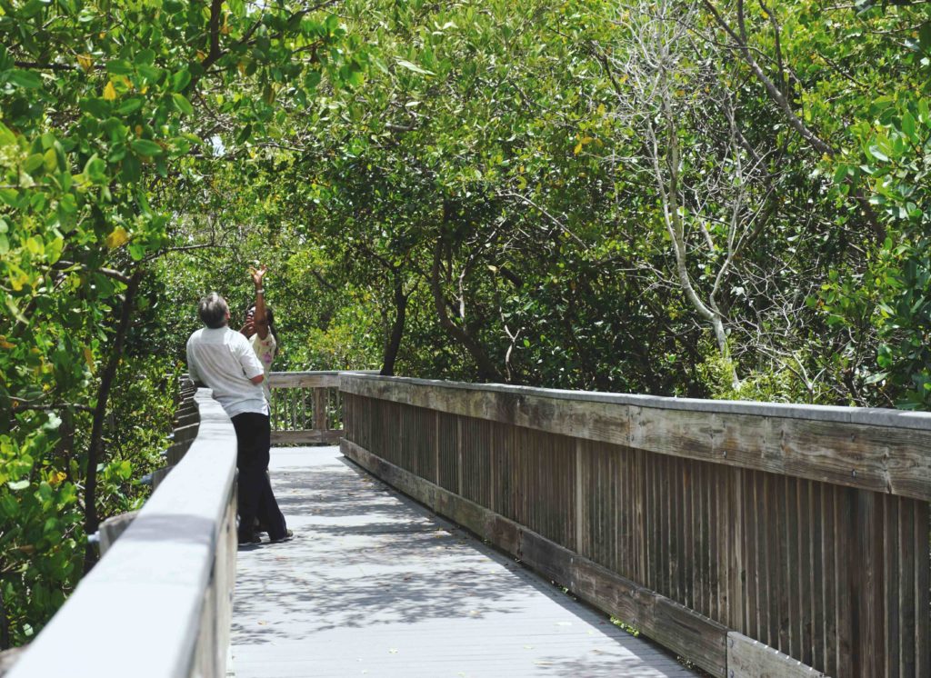 Weedon Island Preserve hike